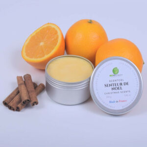Scentgel Senteur de Noel