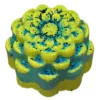 Bombe de bain Aloha Paradise Fizzy – Image 2