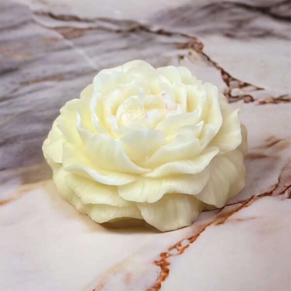 Pivoine – Image 2