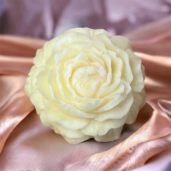 Pivoine – Image 3