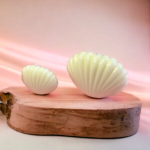 Bougie Coquillage