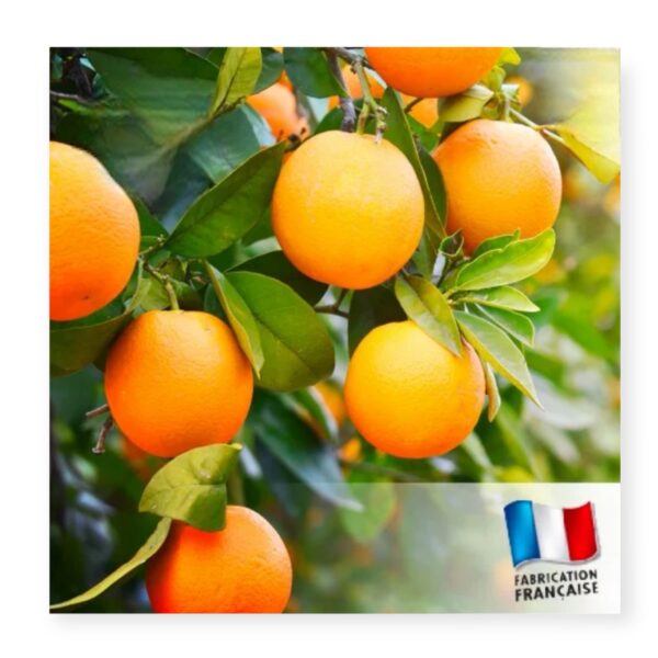 Désodorisants d’oreiller – Image 2