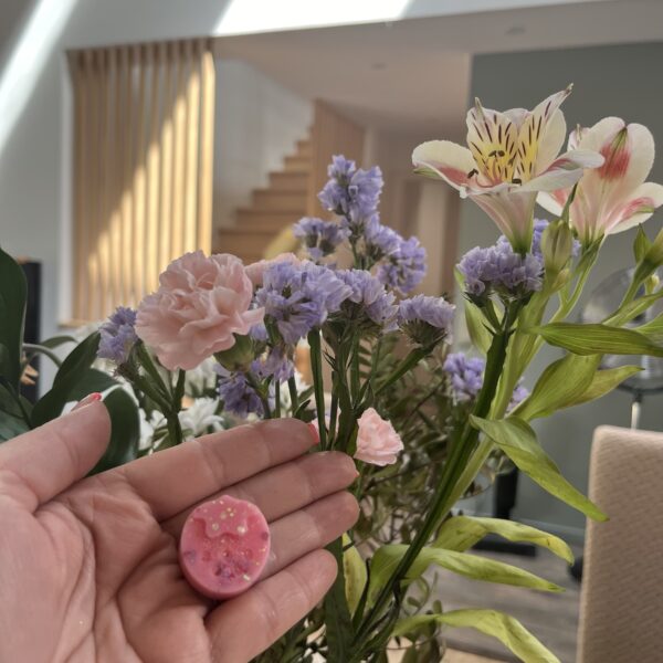 Mini Fraise
