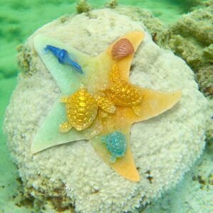 Étoile de mer