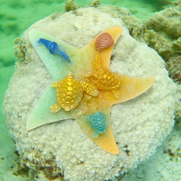 Étoile de mer