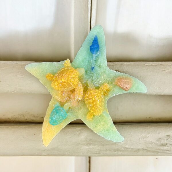 Étoile de mer – Image 4
