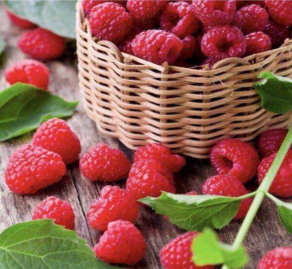 Framboise – Image 2
