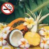 Tropical - Anti odeur de tabac – Image 2