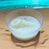 SUMMER BOX – Image 2